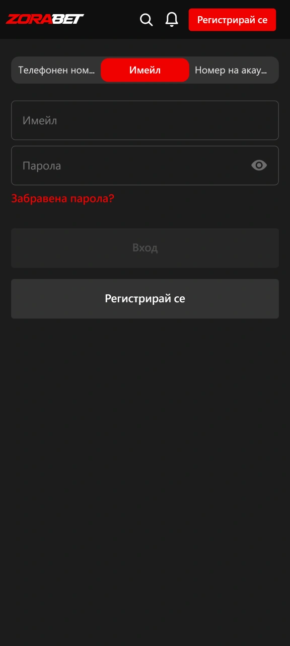 Изберете начин за вход в профила си в ZoraBet.